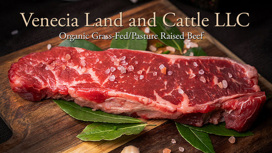 Best Organic Grass-Fed Beef in the Rio Grande Valley: A Spotlight on Venecia Land and Cattle