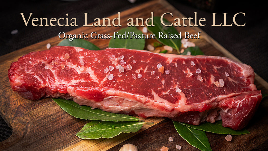 Best Organic Grass-Fed Beef in the Rio Grande Valley: A Spotlight on Venecia Land and Cattle